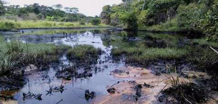 Nach Angaben der Nationalversammlung sind bis zu 40. 000 Barell Öl ausgelaufen