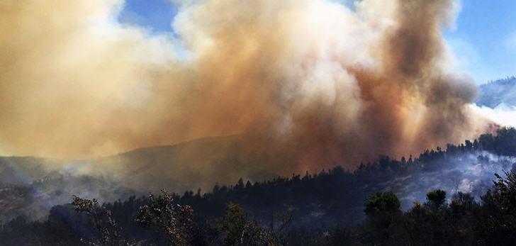 Laut den staatlichen Institutionen gab es in den letzten Tagen insgesamt 119 Waldbrände