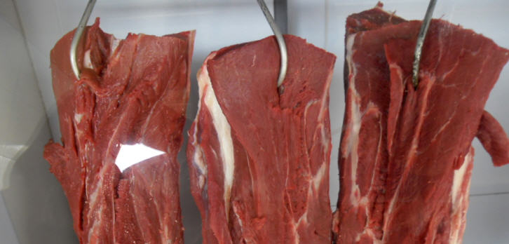 Die argentinische Gesellschaft für ländliche Entwicklung (SRA) gab am Freitag (13.) bekannt, dass der südamerikanische Block 400.000 Tonnen Rindfleisch pro Jahr in die Europäische Union exportieren will 