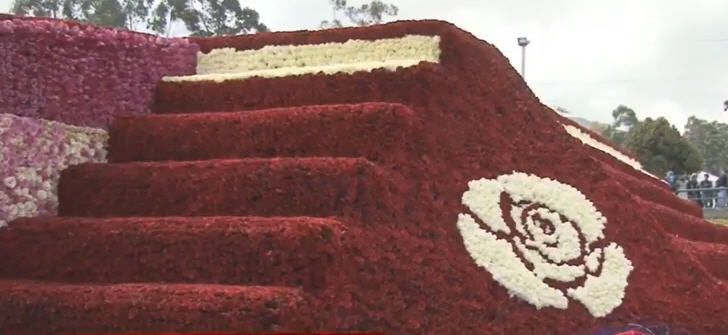 Ecuador Guinness Rekord Fur Die Weltweit Grosste Rosenpyramide Latinapress Nachrichten