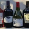 Chile gründet offiziell den Bio-Weinverband