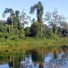 Drogenhandel, Goldbergbau und illegale Fischerei treffen im Amazonasgebiet aufeinander