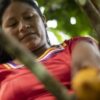 Ecuador: Mit Kakao den Regenwald erhalten