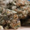 Argentinien genehmigt erste Produktionsanlage für medizinisches Cannabis