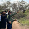 Mexiko: Vogelbeobachtung  zerbrechliche Lebensader für Natur und Wirtschaft