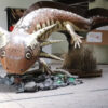 Neues Museum in Mexiko widmet sich dem bedrohten Axolotl