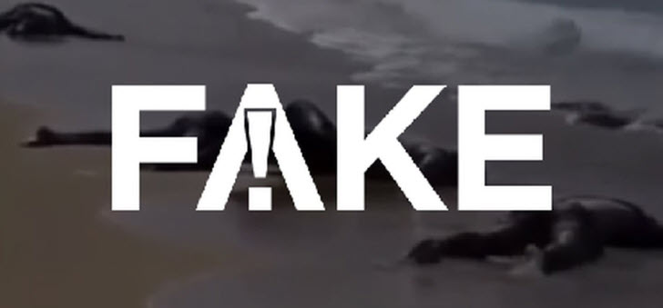 fake-1