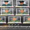 Südamerika: Guerilla-Bewegung tötet neun Soldaten in Kolumbien