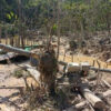 Illegaler Goldabbau im venezolanischen Amazonasgebiet auf dem Vormarsch