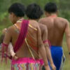 Brasiliens Parlament billigt Landgesetz:  Zeitrahmen für die Abgrenzung indigener Gebiete
