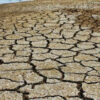 Anhaltende Dürre: Uruguay betet um Regen
