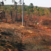 Brände im brasilianischen Amazonasgebiet stark ansteigend