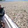 Mehr Plastik als Fische: Recycling-Lieferkette in Lateinamerika