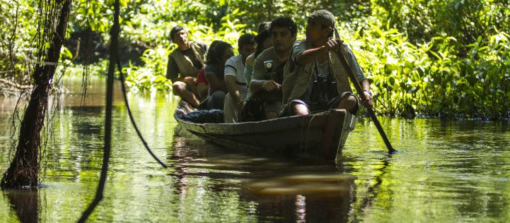 amazonas