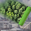 Greenwashing: Wenn grüne Werbung optimistische Botschaft  bleibt