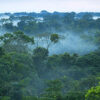 Lateinamerika: Waldbrände verursachen Rekord-CO2-Emissionen