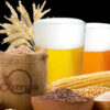 Lateinamerika: Mais in der Geschichte des Bieres