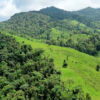 Wilhelma investiert erneut in den Schutz von Regenwäldern
