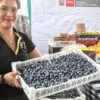 Peru: Blaubeeren treiben das Wachstum der Agrarexporte voran