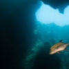 Tiefstes „Blaues Loch“ der Welt in Bucht in Mexiko entdeckt