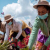 Kolumbien: Agrarexporte verzeichnen ein historisches Volumen