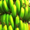 Kolumbien: Millionenstrafe für Bananenexporteur Chiquita
