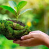 Kolumbien: Weltweit erste  Biodiversitätsanleihe