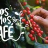 Starbucks erweitert Förderprogramm für Kaffeeproduzenten in Peru