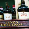 Die besten chilenischen Weine aus dem Maipo-Tal