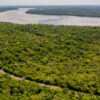 Iguaçu-Nationalpark: Geführte Fahrradtour durch den Mata Atlântica