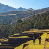 Peru als führendes Reiseziel Südamerikas ausgezeichnet
