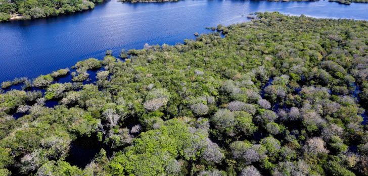 amazonas