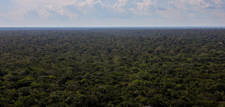 amazonas