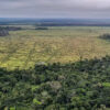 Brasilien: Waldzerstörung im Amazonasgebiet bricht Rekord