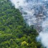 Lateinamerika: Verheerende Waldbrände in Brasilien