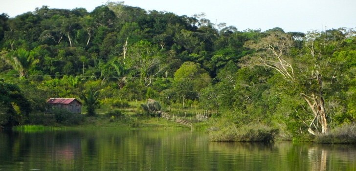 amazonas-regenwald-1