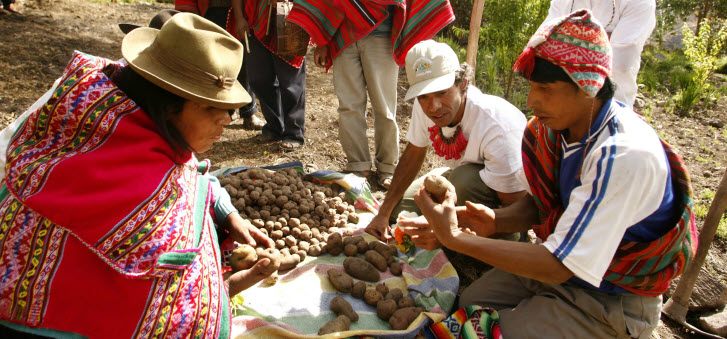 peru