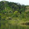 Artenvielfalt und das indigene Erbe im Amazonasgebiet unter Druck