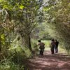 Brasilien: Stadt São Paulo eröffnet den größten Wanderweg