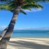 Lateinamerika: Können Tourismus und Umwelt koexistieren?
