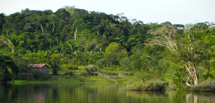 amamzomnas