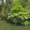 Brasilien beginnt mit der umstrittenen Versteigerung von Ölkonzessionen