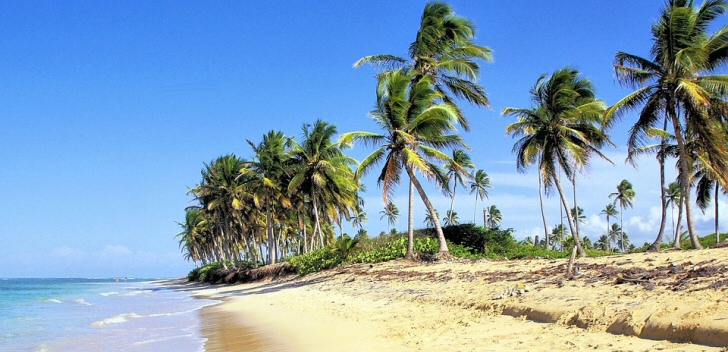 tropischer_strand