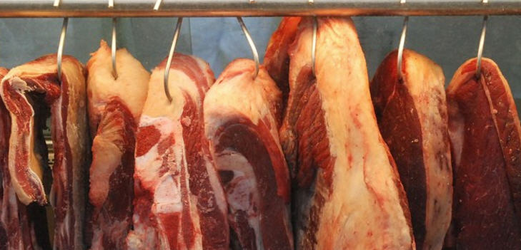 fleisch