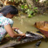 Bolivien: Indigene Gemeinschaft der Tsimane altert langsamer als der Rest der Welt