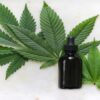 Cannabinoid: Vielversprechende Alternative gegen Schmerzen