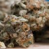 Paraguay: Legalisierung und Regulierung von Cannabis für den Freizeitgebrauch