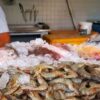 US-Zölle:  Brasiliens Fischindustrie sucht nach einem Rettungsanker
