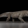 Ältestes Fossil eines „wilden Krokodils” in Südamerika entdeckt