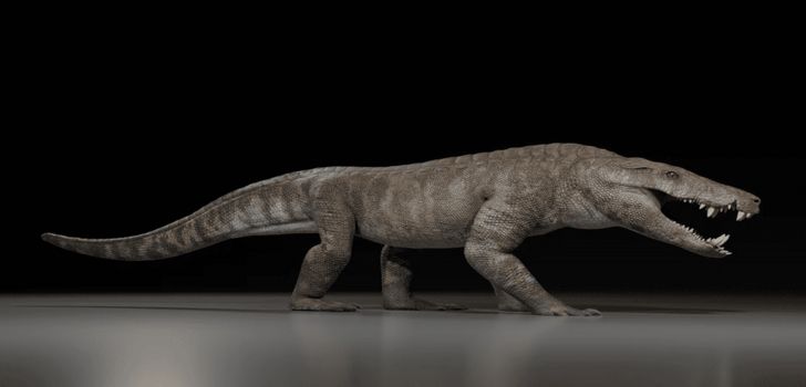 kroko
